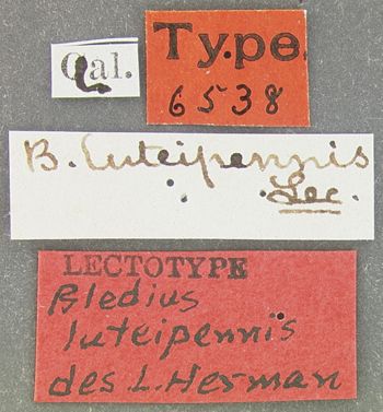 Media type: image;   Entomology 6538 Aspect: labels